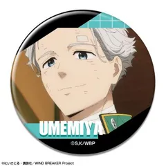【新品・公式】WIND BREAKER 缶バッジ デザイン20(梅宮一/D) 公式グッズ colleize