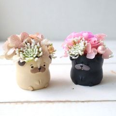 花咲くパグ　バラ　ミニアレンジメント　誕生日プレゼント　母の日　お祝い　新築祝い　593
