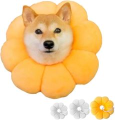 Item thumbnail for item 4be6720e-212e-44ab-b264-f0855a62cbe5