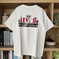 90s  Levi's リーバイス　グッドフェード　USA製　アートTシャツ　アメカジ　ヴィンテージTシャツ　企業Tシャツ　ビンテージ　シングルステッチ DJ-34