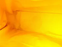 【最大30％OFF】サルヴァトーレ フェラガモ ハンドバッグ レディース ガンチーニ オレンジ レザー Salvatore Ferragamo D2478