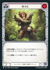 【中古】Flesh and Blood GAP010[R]：樹木化 (1)/Turn Timber (1)