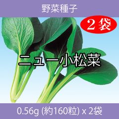 野菜種子 EBR ニュー小松菜0.56g