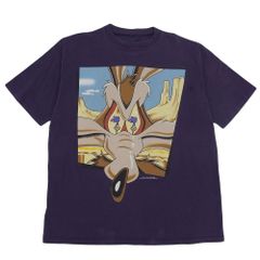 0054 1995 　実寸ＸＬ 　ルーニー・テューンズ　コヨーテ　目の中にロードランナー