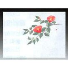 Item thumbnail for item c53db3a3-eb58-42bd-a6e3-a09a8a2e8859