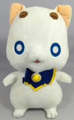 2025年最新】ARIA アリア社長 ぬいぐるみの人気アイテム - メルカリ