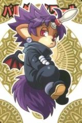 [중고] 신라 만상 초코 천지 017[N]:발다 느와르