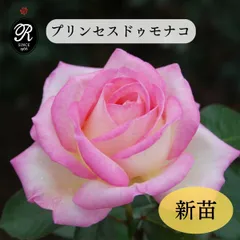 2025年最新】プリンセス・グレース・デ・モナコの人気アイテム
