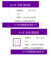 ジョークグッズ　 エッチ五段認定証 　２枚セット 　資格証 クレカサイズpvcカード 悪用厳禁