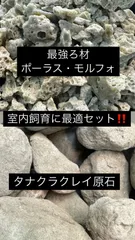 2025年最新】タナクラクレイの人気アイテム - メルカリ