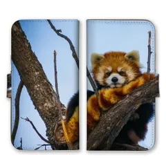 Google Pixel9/9Pro ケース 手帳型 グーグルピクセル9 / 9プロ スマホケース 携帯ケース レッサーパンダ 動物 アニマル 可愛い かわいい 自然 フサフサ もふもふ 写真 動物園 スマホカバー カラー04