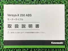 写真更新》KAWASAKI純正 J99994-0866 パニアケース左右セット 純正