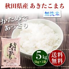 新米 秋田県産 あきたこまち 無洗米 5kg お米 5キロ 送料無料