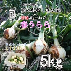 あんみつ姫様＜訳あり10kg＞淡路島産 新 玉ねぎ スーパーアップ高糖度