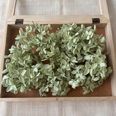 プリザーブドフラワー アジサイ 約13g (くすみグリーン)  OC 未使用品 ピラミッド 紫陽花 ヘッド