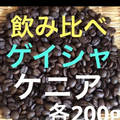 飲み比べ　ゲイシャエチオピア産200g ✖️ケニアAA 200g
