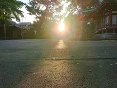 染谷裕通 日本画日本画の大家4枚まとめて*太陽の鳥*柴又帝釈天*大黒*羊額装額縁 染谷裕通 日本画日本画の大家4枚まとめて*太陽の鳥