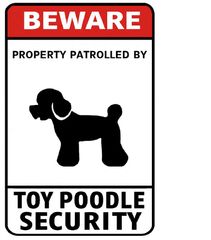 ブリキ看板 犬 トイプードル トイプー プードル 警告 注意 出入口 看板 20×30㎝ ガレージ インテリア 雑貨 世田谷ベース アメリカン 管A2