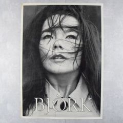 Bjork Portrait Poster ビョーク ポスター