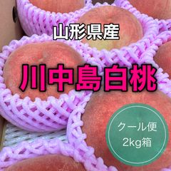 【クール便】山形県産 川中島白桃 2kg箱入り もも 桃