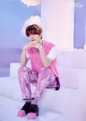 【中古】キャラカード スンミン/衣装：ピンク・座り ランダムトレーディングカード 「Stray Kids 5-STAR Dome Tour 2023」