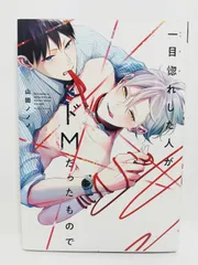 一目惚れした人がドMだったもので (ディアプラス・コミックス) 山田 ノノノ