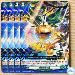 【DZ-BT09】黄金陽光の実　R