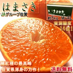 はまさき 麗紅みかん 佐賀県産 5kg M～4Lサイズ 秀品 産地箱入り JAからつ 柑橘類 佐賀県渾身のタンゴール 実測糖度14度！