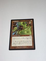 MTG 水蓮の花 日本語版 USG ウルザズ・サーガ 黒枠