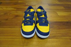 ◆Nike ナイキ Terminator ターミネーター USED サイズ8H 美品 ローカット