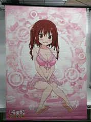 【開封品】海老名奈々 描き下ろしB2タペストリー「PS Vitaソフト 干物妹!うまるちゃん～干物妹!育成計画～」WonderGOO購入特典【汚れ等有】