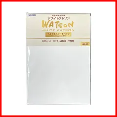 【人気商品】300g 10枚入 A4 ホワイトワトソン WAP-HW A4サイズシートパック 水彩紙 A4 ミューズ