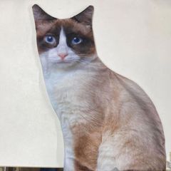 【リアルな猫のぬいぐるみクッションカバー】ねこ 縫いぐるみ リアル 本物 そっくり ペット プレゼント ギフト 子供 誕生日 大きい 三毛猫 ペットロス カバー