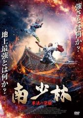 南少林 拳法の覚醒【洋画 中古 DVD】レンタル落ち