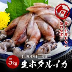 【山陰沖産】生ホタルイカ 新物（冷凍）5kg(1kg×5パック) 大容量パック
