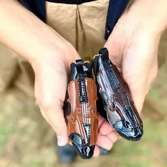 バイオリンバッグチャーム　C キーレスケース