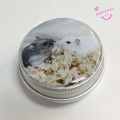 【アルミケース】【おまけ付き】写真入りレジンアルミケース  ハンドメイド ハムスターといっしょ こきち&みるく 「見つめ合ってる」バージョン