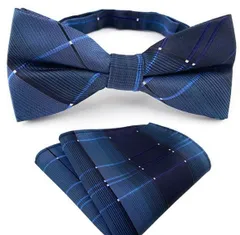 蝶ネクタイ ポケットチーフ　2点セット　ワンタッチ　ネクタイ　結婚式　イベント　ビジネス　パーティー　ダンスパーティー　バーテンダー　成人式　卒業式　入学式　入園式　入社式　父の日　七五三祝い　ネイビー色　ストライプ柄　チェック柄　シルバー色　ドット柄