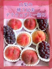 一児の母様専用クール便
