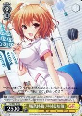 [중고]바이스슈발츠 GF/W33-014[U]:직업 체험 토무라 미치루
