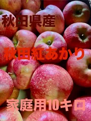2025年最新】秋田紅あかりの人気アイテム - メルカリ