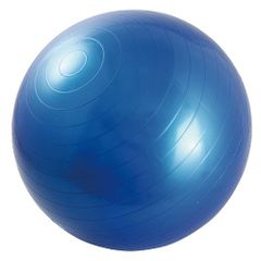青 Physio Roll Plus バランスボール - メルカリ