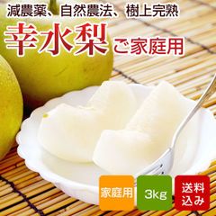 幸水梨 訳あり 家庭用 3kg 樹上完熟 福岡県朝倉産