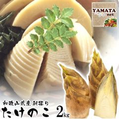 【予約】たけのこ 朝掘りタケノコ 和歌山県産 訳あり 筍 自宅用 2kg (ぬか付き) 発送開始時期:4月上旬〜