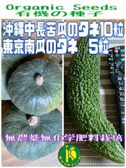 沖縄中長苦瓜（ゴーヤ）のタネ10粒と東京南瓜のタネ5粒　有機のタネ