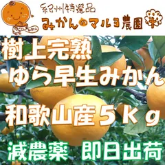 【樹上完熟】ゆら早生みかん5kg　減農薬　和歌山県下津産直　B級【特別栽培認証】