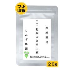 紀州ぶどう山椒（つぶ山椒）２０ｇ　和歌山　山椒　粒