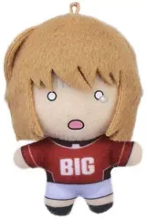 【中古】雑貨 灰原哀 「名探偵コナン ぷちぬいマスコット Vol.5」