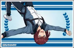 【新品・公式】新テニスの王子様 描き下ろしアクリルブロック【スカイダイビングver.】④向日岳人 公式グッズ colleize コレイズ