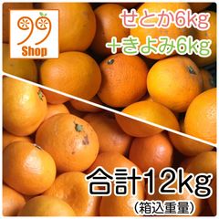 きよみ6kg+せとか6㎏ 3499円 愛媛県産 訳あり 家庭用 みかん 柑橘